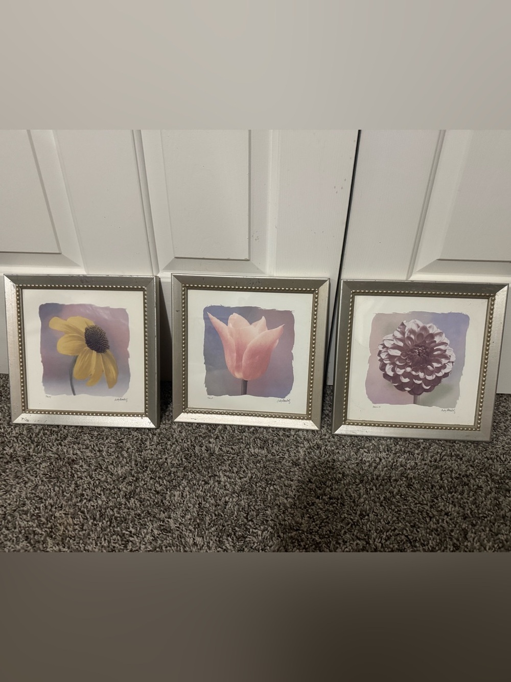 🌸 Set of 3 Framed Floral Prints — Project / Upcycle
